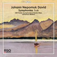 CD-Cover zu Johann Nepomuk David Symphonien Nr. 1 und Nr. 6 dirigiert von Johannes Wildner